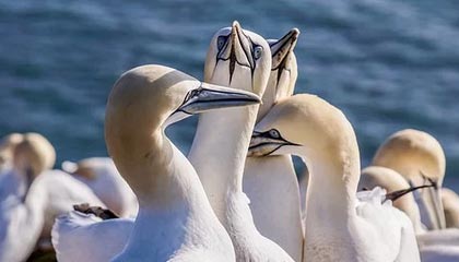 九游官网-防守改变霍勒迪作用凸显 首战憾负雄鹿仍有闪光点